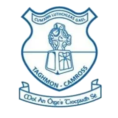 Taghmon HC crest