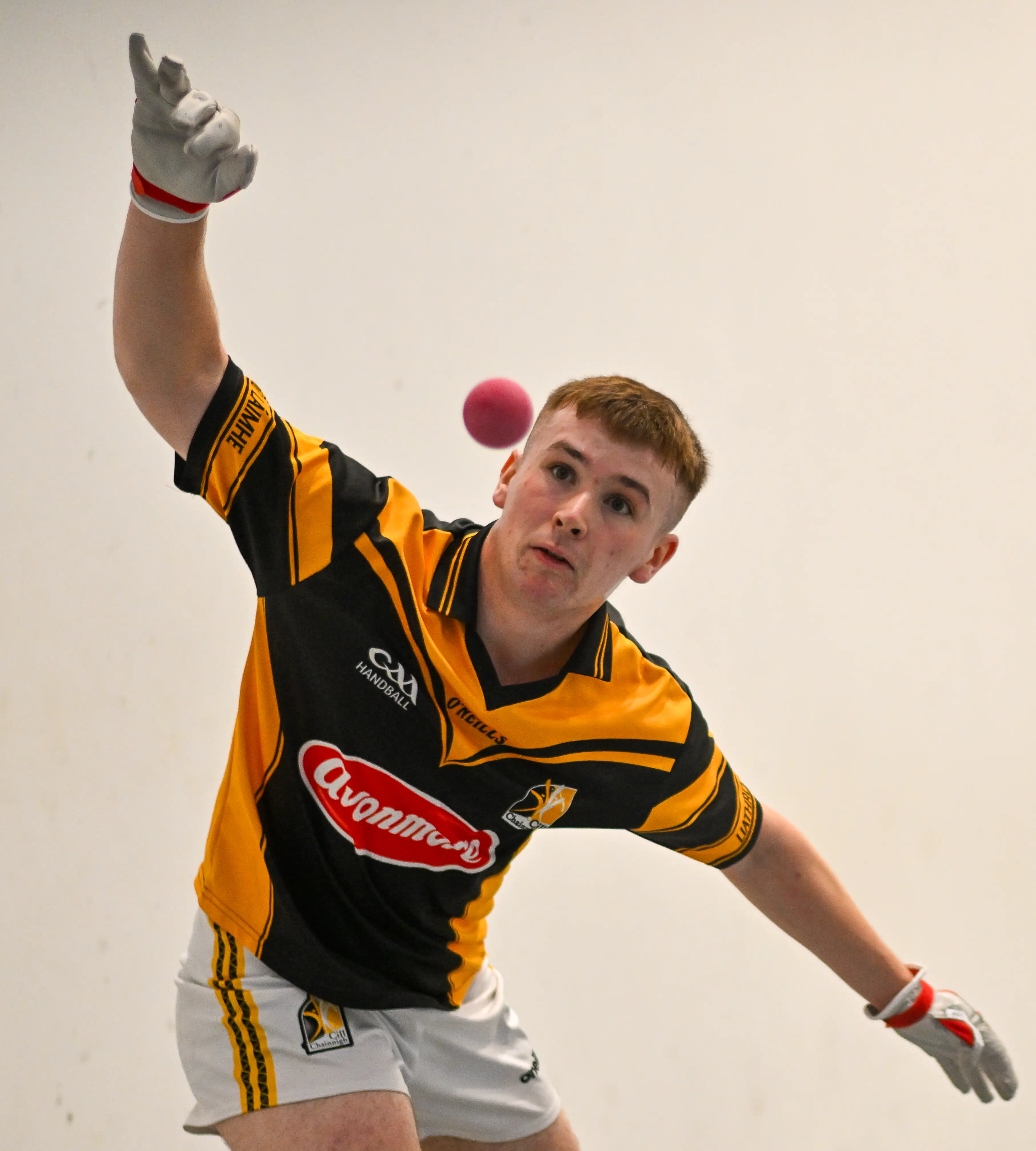 Kilkenny End 29-year wait in All-Ireland Doubles Finals